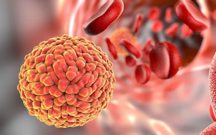 Zica virus:-Symptoms and Treatment