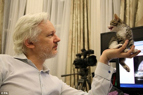 WikiLeaks founder Julian Assange has been given a kitten by his young children